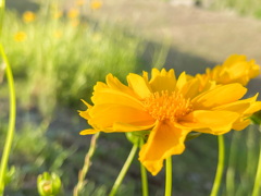 BC1383E3-F3BA-4FE5-8DE1-545FC5FED5AE