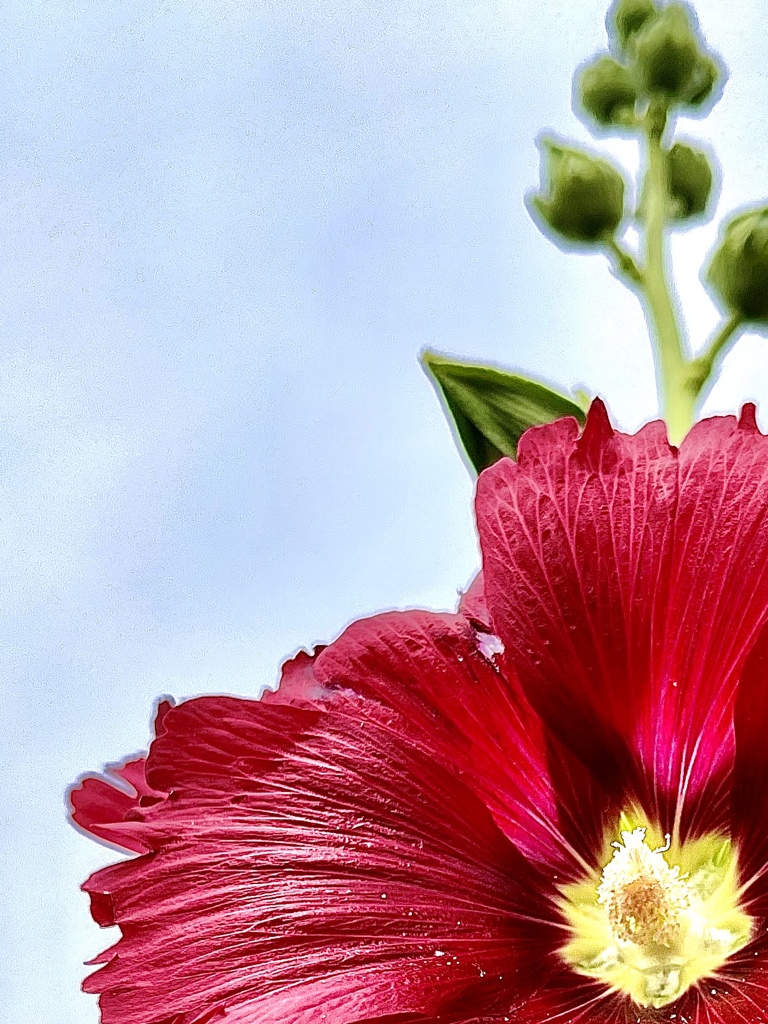 B672B37B-B4A3-4D8A-B3C1-2F03A2346E18