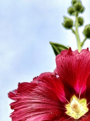 B672B37B-B4A3-4D8A-B3C1-2F03A2346E18