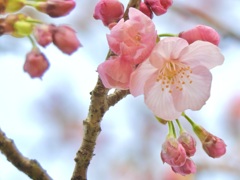 98F295E6-F27C-442B-B38C-145154B2A1CE