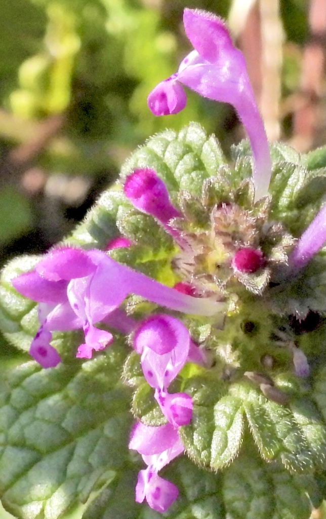 A02CDF2F-3EAA-4034-8858-36590A3EC55E