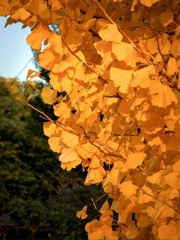 F26F0154-DC4D-44E2-8EB5-BC57C5FFBF09