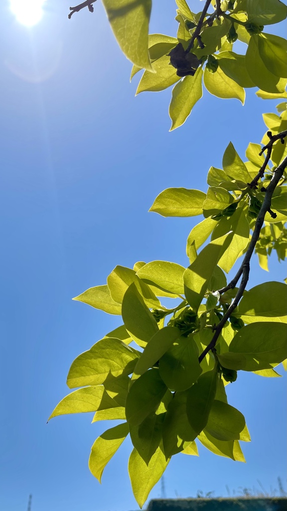 9E12F387-3BF8-409D-BFAE-001ADCDE6187