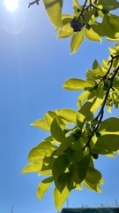 9E12F387-3BF8-409D-BFAE-001ADCDE6187