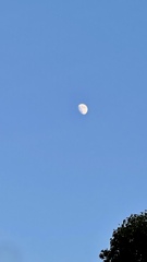 9BB8AA00-9431-48FD-833B-A6AF3E028ADA