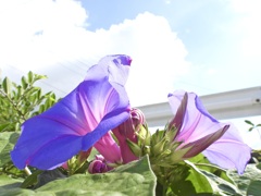 53CEAEF6-F46B-4C3D-BA29-A80D332914C7
