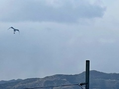 CF4C8B1C-6FB7-4094-8735-B4D30D5E0439