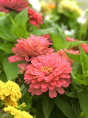 FA0A84D2-2216-458E-80F6-233118CD6007
