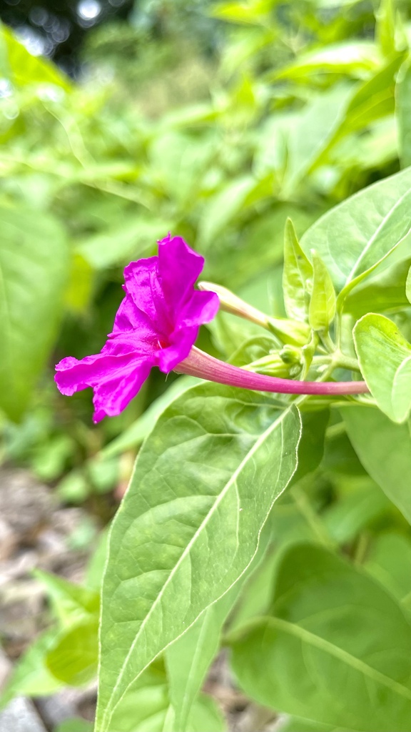 F8E75B0F-DBEC-467F-BEAA-B80B4FCE7F72