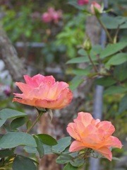 6B8D7DAE-3530-4A61-BE0C-E012368F73ED