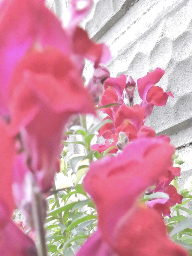 4989F115-886A-4B20-A411-0FBE4B788D8E