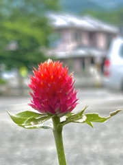 1B493948-D00D-41C2-8DC6-A3B352ADD7F9