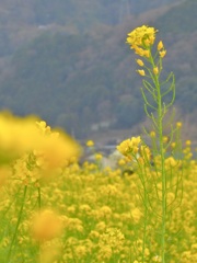 90178C54-170E-4E97-9837-4DDC8CCE3F14