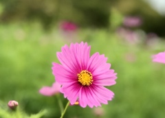 30BC48AF-78ED-4FBE-8054-3EE082AC716C