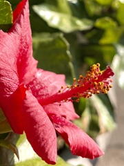 D005F06D-C5D0-462A-BC00-32B68F8BD6E1