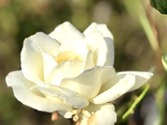 F35763B6-F01B-47AF-A29C-BB977BCF1690