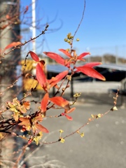 B0DB3508-684E-40F7-AC6A-D41211AE48B4