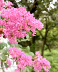 BDB3F6C0-0DD4-4827-BD19-0FF0AEC690FC