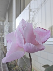 2DAE80F3-7D71-4B41-A4A1-A13CA015E6E9