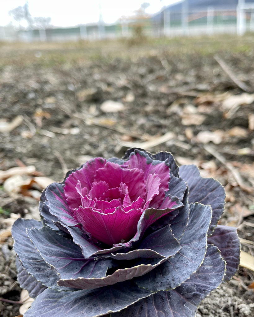 FF72035A-C224-4609-BC68-7479EFBF523A