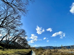 AFD37282-F2CF-4973-8751-DC9DF2CEF39B