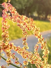 B1D2EA3D-E232-4A77-B4D8-4EFD93202BA7