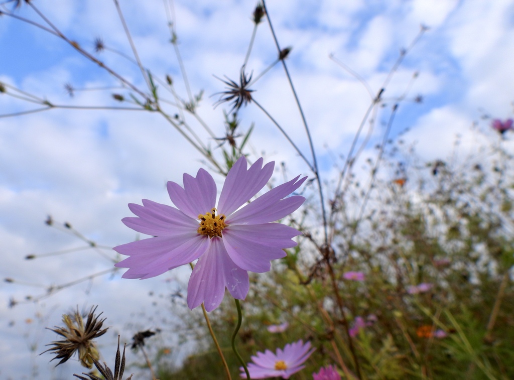 EBA6B00B-E81A-427D-A716-342689581840