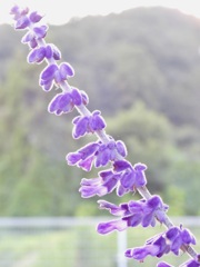 5E85C30E-A7E7-4CBD-AF13-7FF1F29EDE54