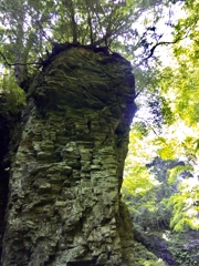 E4F3E097-6DBF-4270-97D3-25D70DBA0EA9