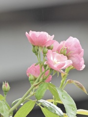 B1222440-34F6-435E-A26B-8F37B8834490