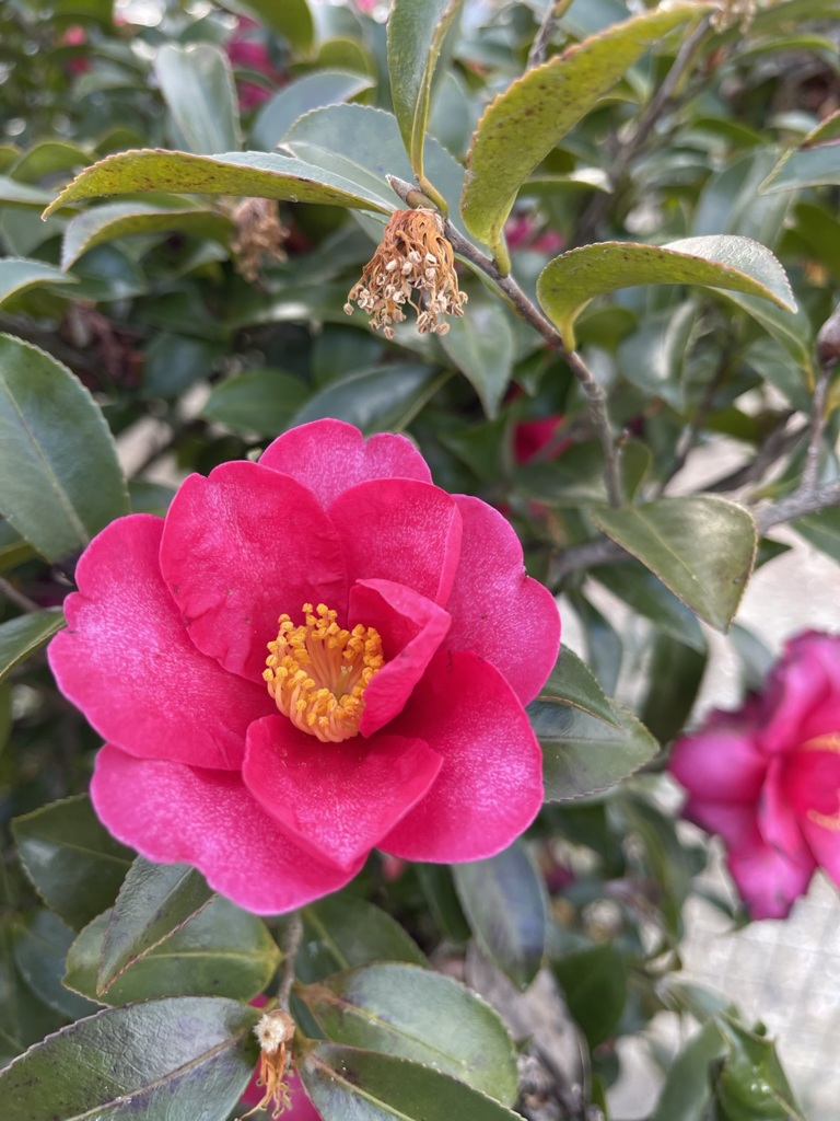 6F253CE6-BF03-4AAC-B519-3667D52107CB