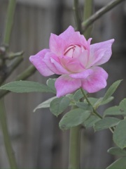 B856900F-095D-48C4-B92A-A4D8BFAB8832