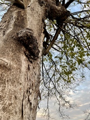 502FACE5-525C-497E-92FC-FCB5F118581A