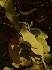 92441953-E087-4A53-9A35-3D157E197E1A