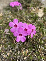 7F695808-BAFD-4B54-BEB6-7FA3BCCF35EC