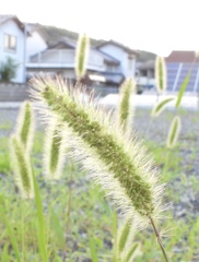 54D78F91-F5AB-4F08-A137-8EE341085B88