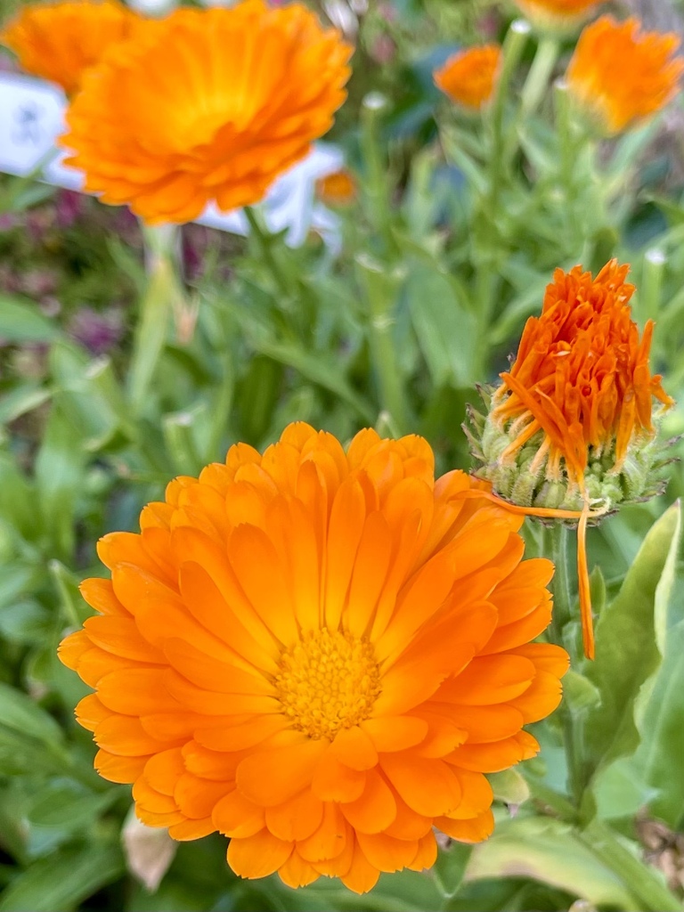 AD247EFE-3A93-4801-A663-FFA5236BE9C8