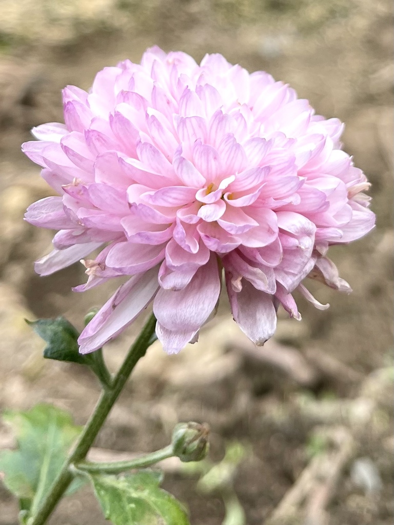 046DB1A4-552C-4E6F-9D1E-E840F9784682