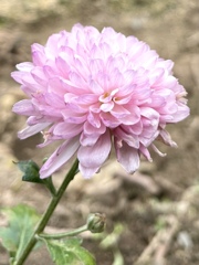 046DB1A4-552C-4E6F-9D1E-E840F9784682