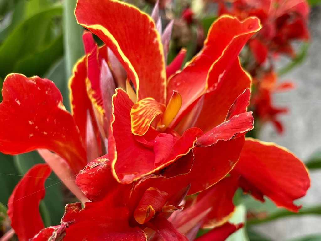 A6619678-1E7C-4CEB-A831-378A40FDB2BD