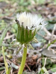 5C601928-FE19-4290-B880-E17D1C046EAC