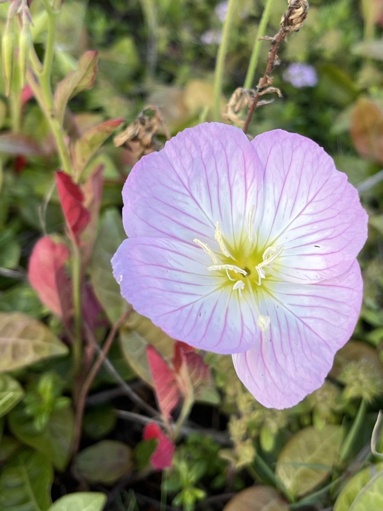 60D5FBE8-3480-4BC9-B698-D4510F723B77