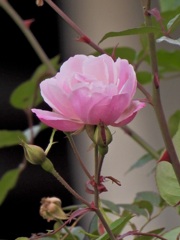 940D59C7-C49C-4231-B285-5199D813D3E3