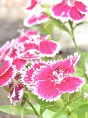 7F87870A-D159-4089-B369-B9D9DF63CF33