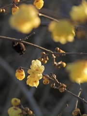 62C596B5-064E-4B5A-92C9-D37CDCD1DE0E