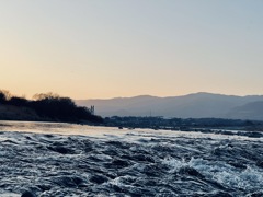 417ED61F-6D36-479E-92BD-55A2609326B3