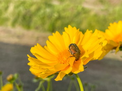 D1B9B7CC-7649-46CC-9BD2-80F462DAAACE