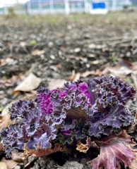 79A21D5B-8FC9-4691-BCB4-190543B5BDDD