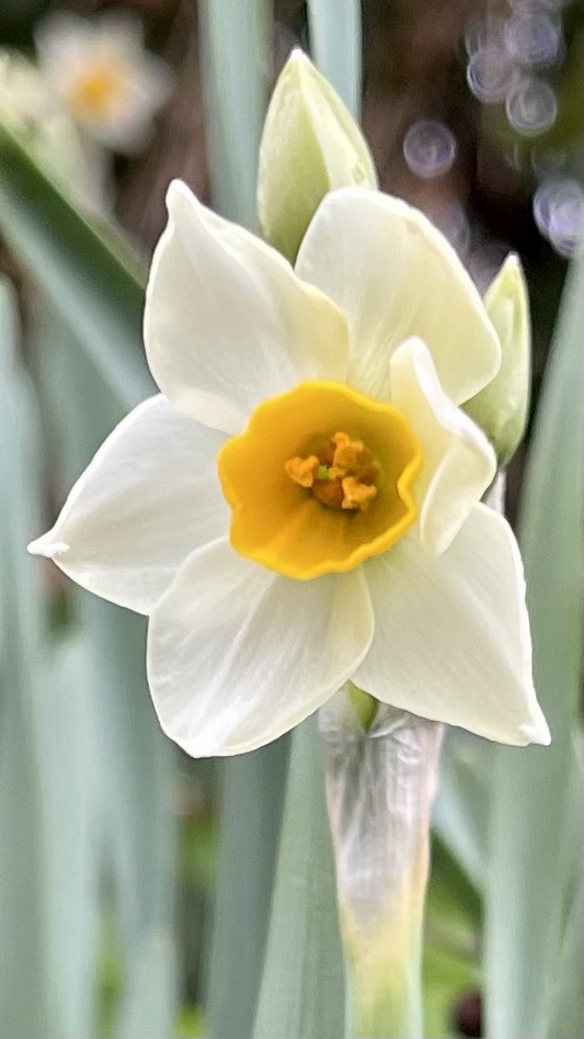 067E8EB1-2851-4E69-87BD-3419F176E55A