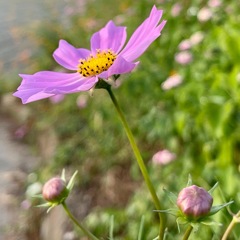 65AD6BA1-712F-430C-8A89-5D469692F27F